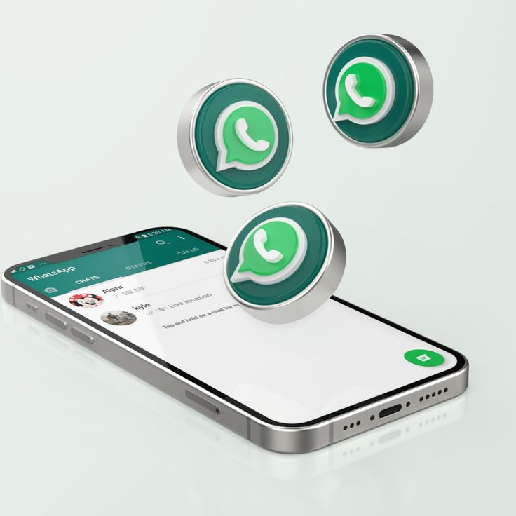 WhatsApp Support